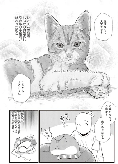  「レオとシロウのドタバタ猫日記」より