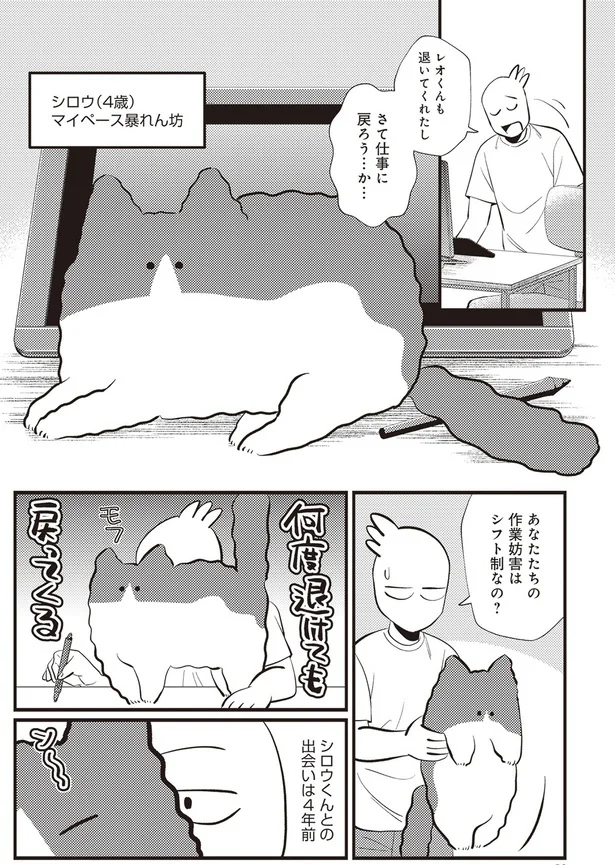  「レオとシロウのドタバタ猫日記」より