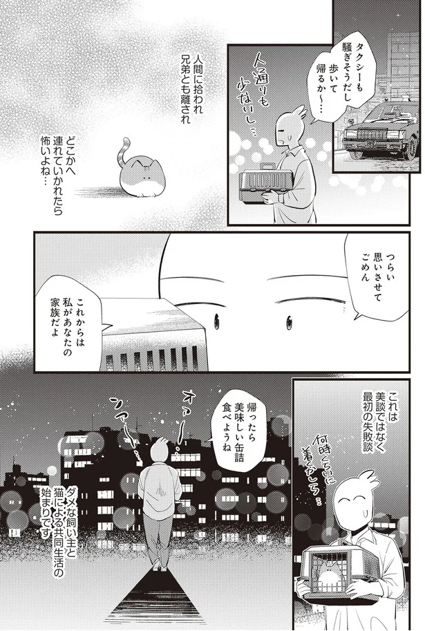  「レオとシロウのドタバタ猫日記」より