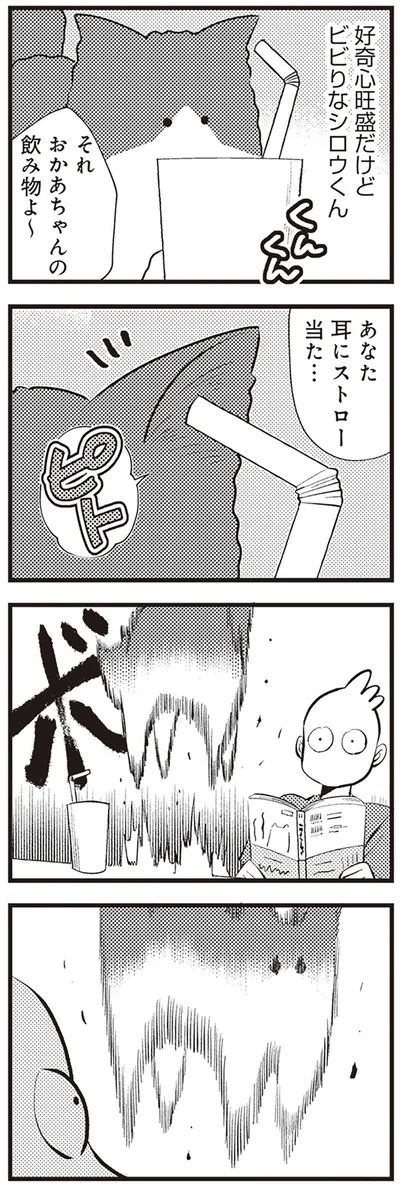  「レオとシロウのドタバタ猫日記」より