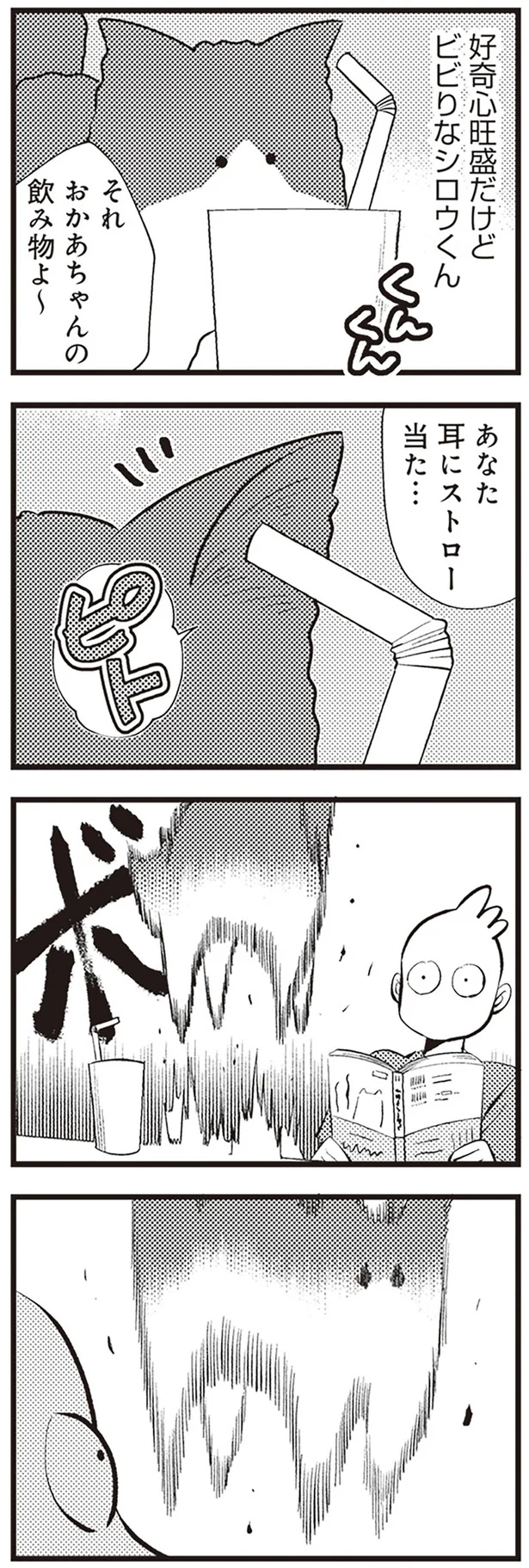  「レオとシロウのドタバタ猫日記」より