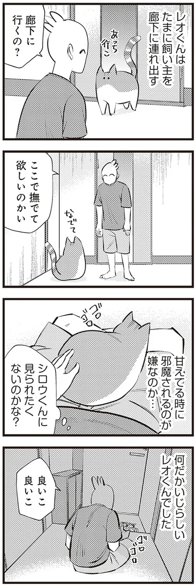  「レオとシロウのドタバタ猫日記」より