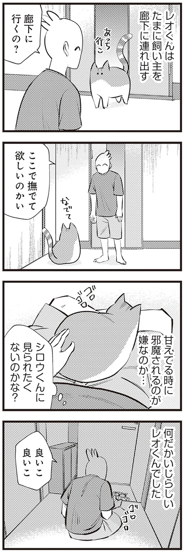  「レオとシロウのドタバタ猫日記」より