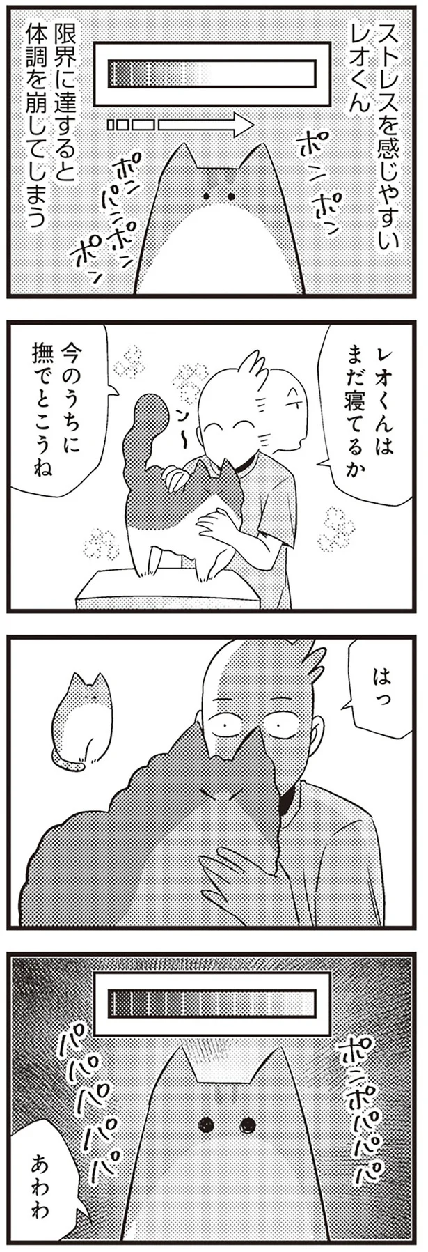  「レオとシロウのドタバタ猫日記」より