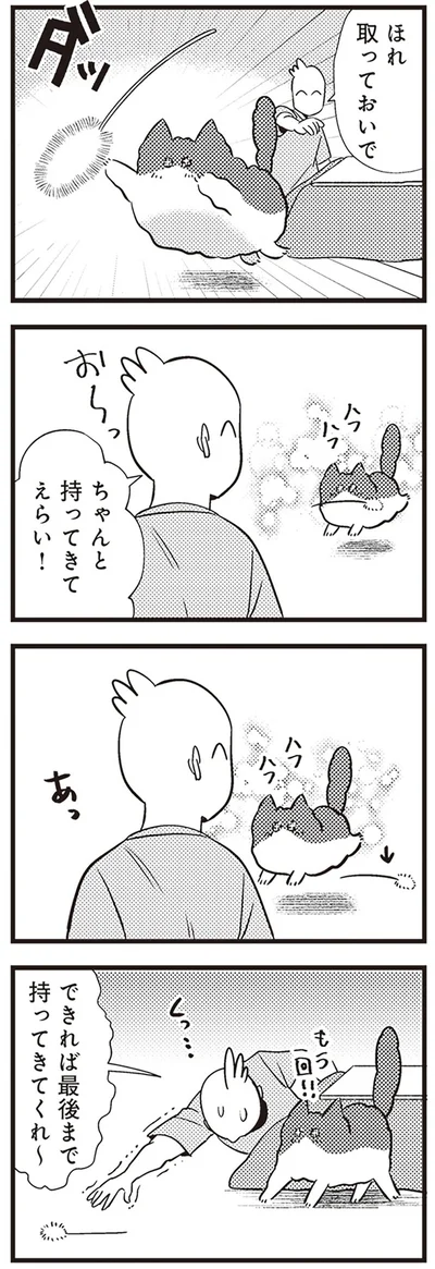  「レオとシロウのドタバタ猫日記」より