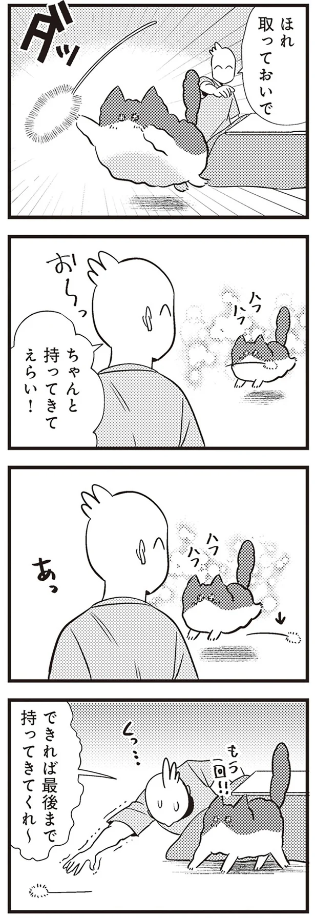  「レオとシロウのドタバタ猫日記」より