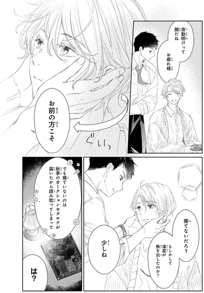 『雨宮兄弟の骨董事件簿1』より