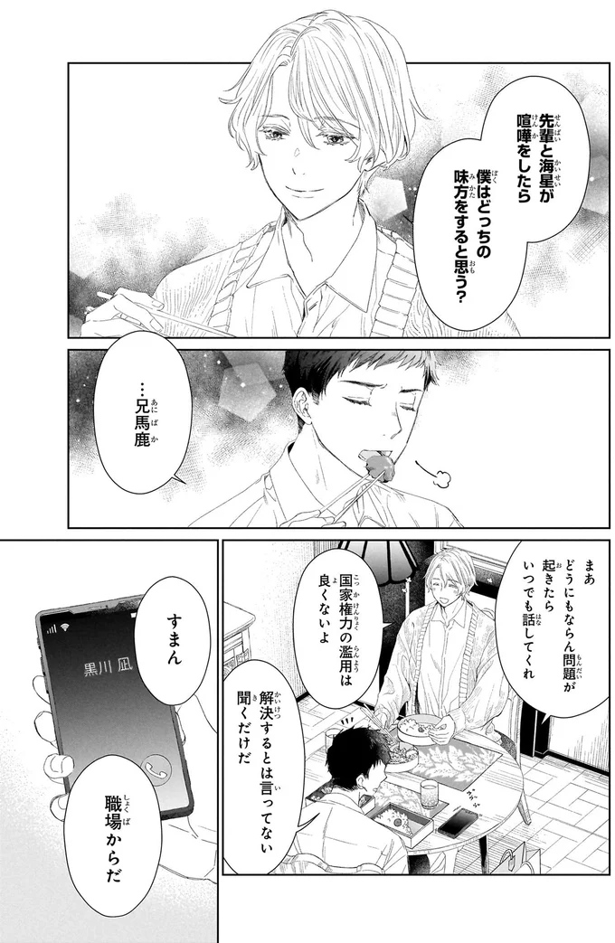 『雨宮兄弟の骨董事件簿1』より