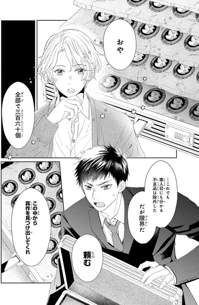 『雨宮兄弟の骨董事件簿1』より