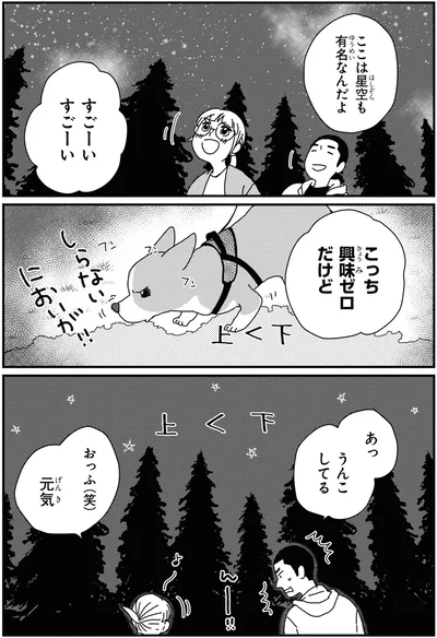 星空も有名なんだよ