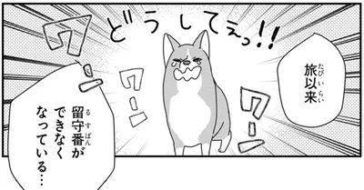 「お留守番イヤッ！」困ったワンコの留守番トラブル