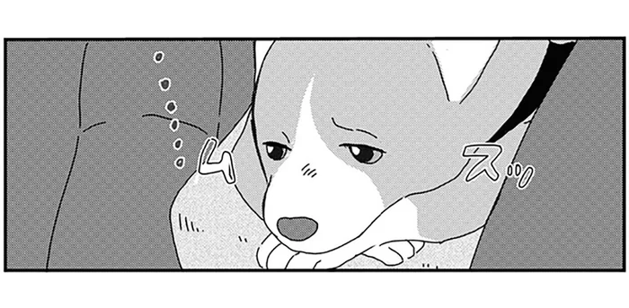 「じゃあお留守番ね」しょんぼりするワンコに飼い主さんが伝えたかったこと