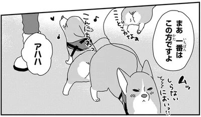 車中泊でワンコと年越し！今年最後のおさんぽ納めへ