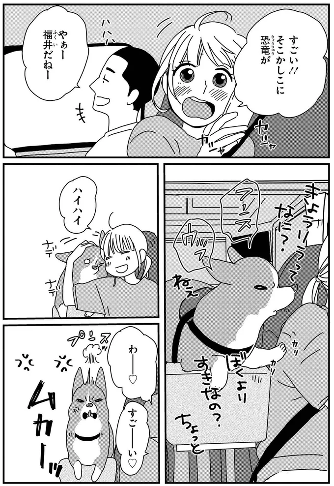 やぁー福井だねー