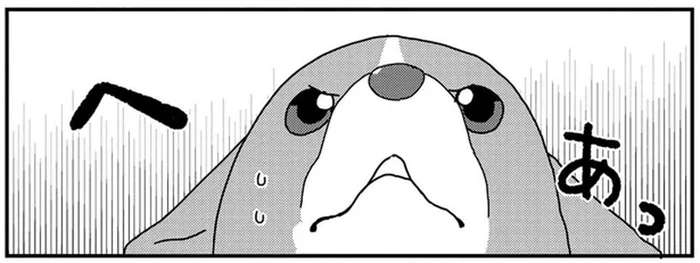 そこかしこにいる！恐竜だらけの福井で圧倒されるコーギーくん／ぼくもいっしょ！3（5）