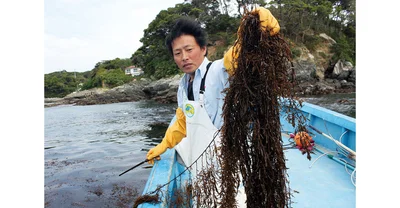 別名「海の納豆」とも呼ばれる元気食材