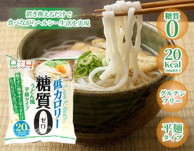 糖質0うどん風平麺タイプ 40食入