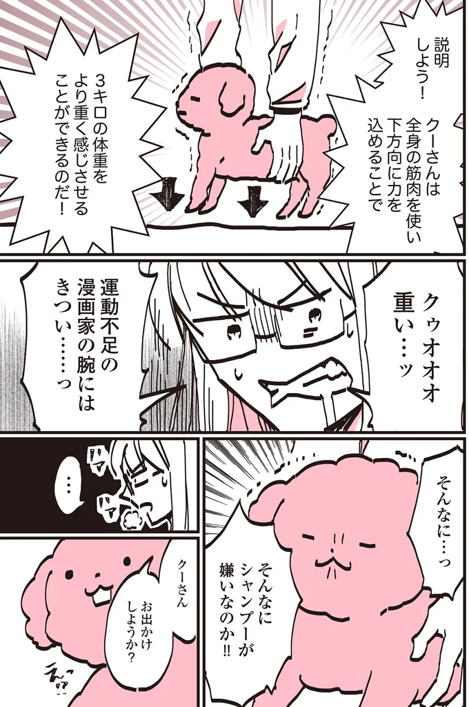 『うちのトイプーがアイドルすぎる。』より