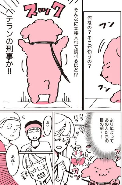 『うちのトイプーがアイドルすぎる。』より