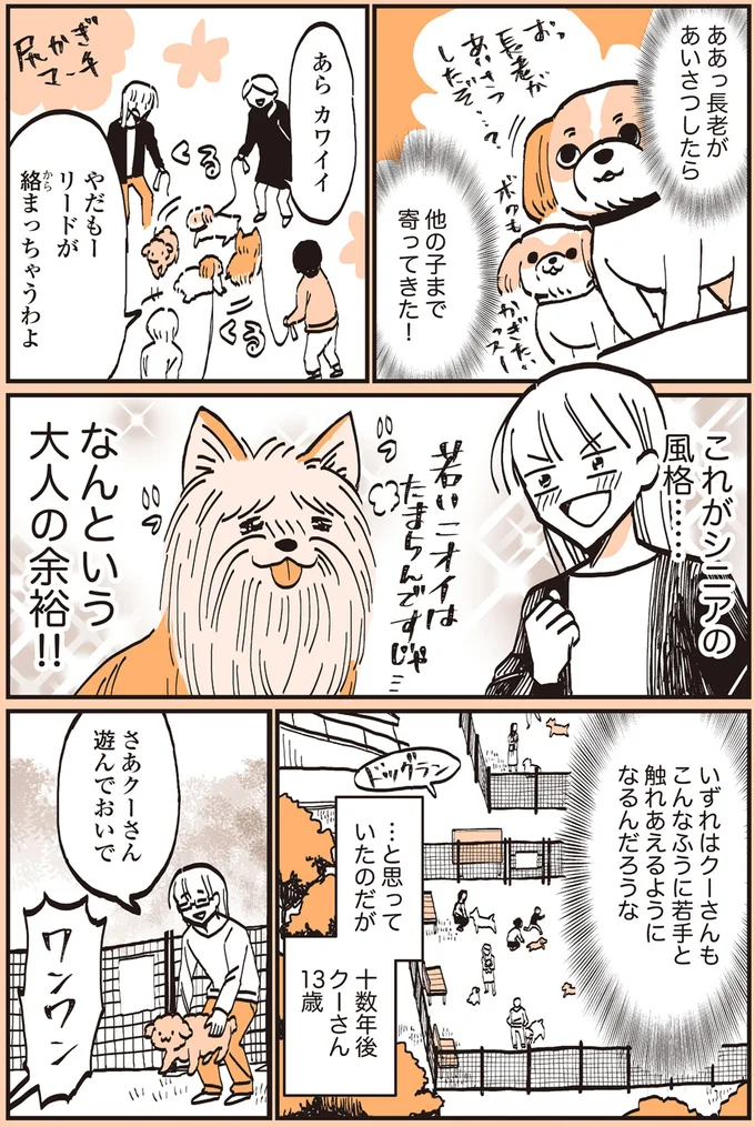 『うちのトイプーがアイドルすぎる。』より