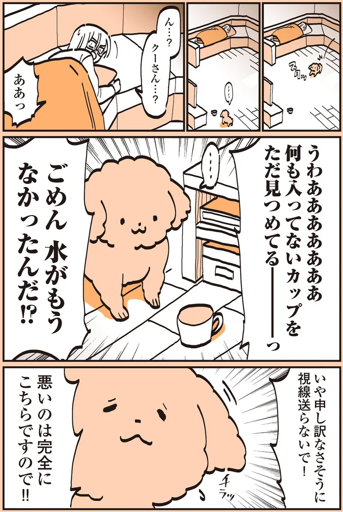 『うちのトイプーがアイドルすぎる。』より