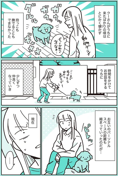 『うちのトイプーがアイドルすぎる。』より