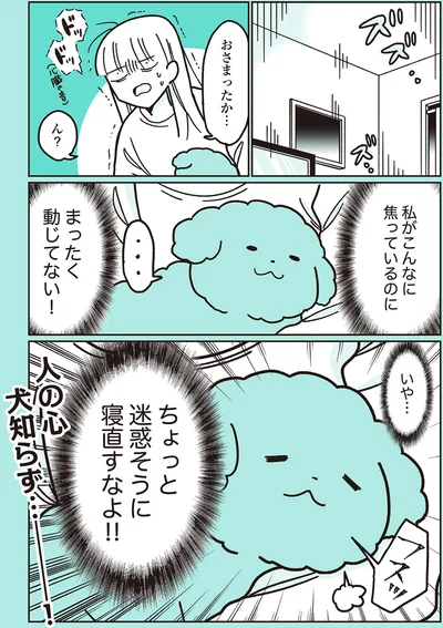 『うちのトイプーがアイドルすぎる。』より