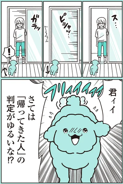 『うちのトイプーがアイドルすぎる。』より