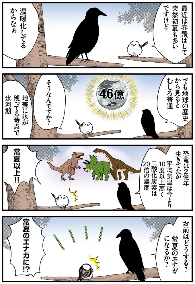 常夏のエナガになるか？