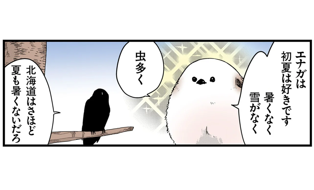 初夏が好きなシマエナガ。暑くなく雪がない最適な季節にもぶっ込む