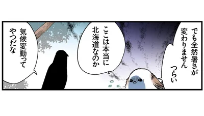 ここは本当に北海道なのか