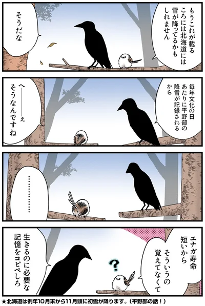 エナガ寿命短いから