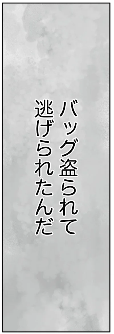 バッグ盗られて逃げられたんだ