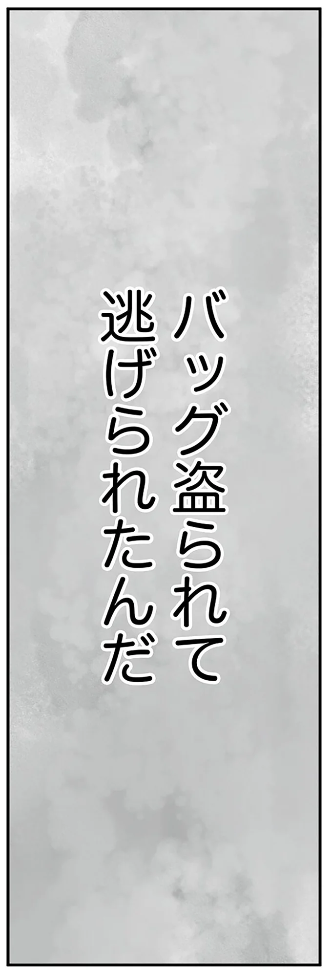 バッグ盗られて逃げられたんだ