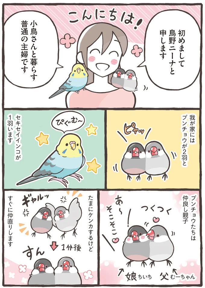 小鳥さんと暮らす普通の主婦です