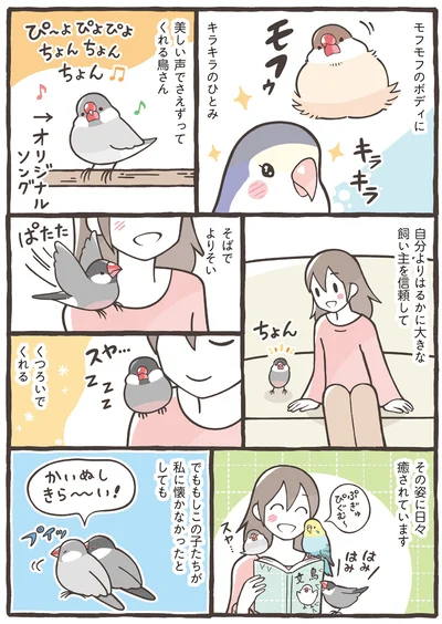 私に懐かなかったとしても