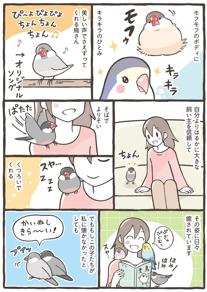 私に懐かなかったとしても