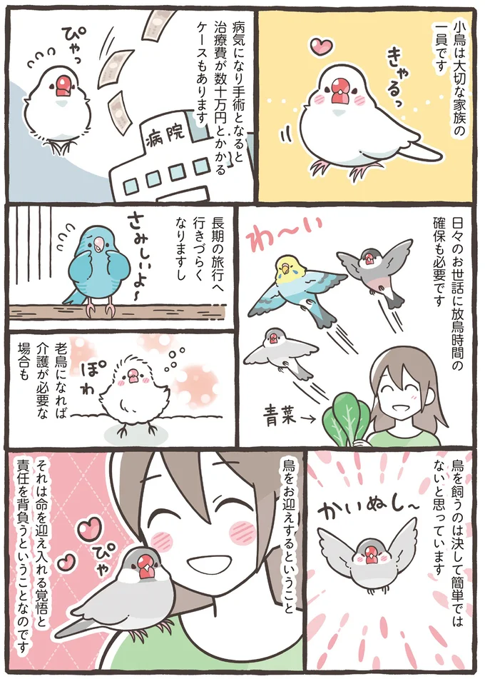 『トリ扱い説明書』より