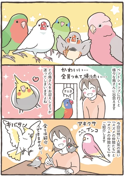 『トリ扱い説明書』より