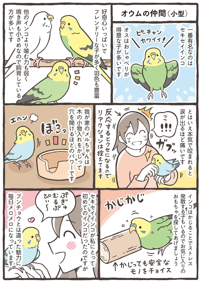 『トリ扱い説明書』より