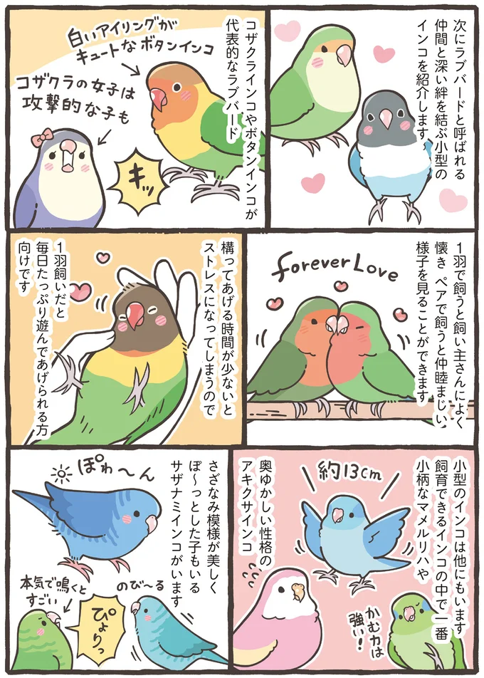 『トリ扱い説明書』より