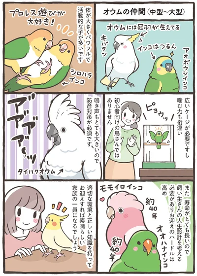 『トリ扱い説明書』より