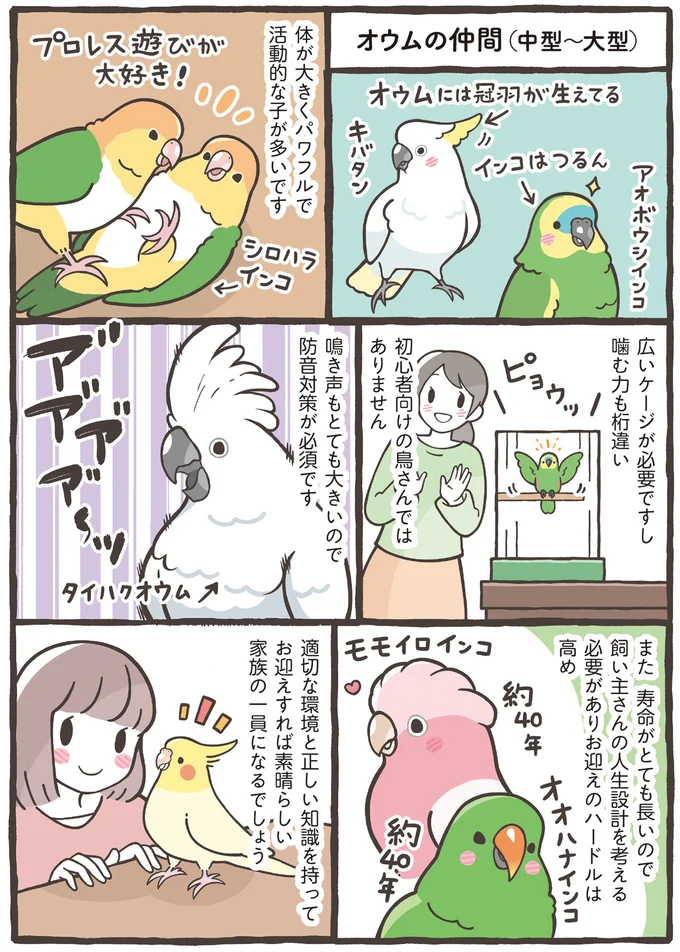 『トリ扱い説明書』より