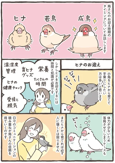 『トリ扱い説明書』より