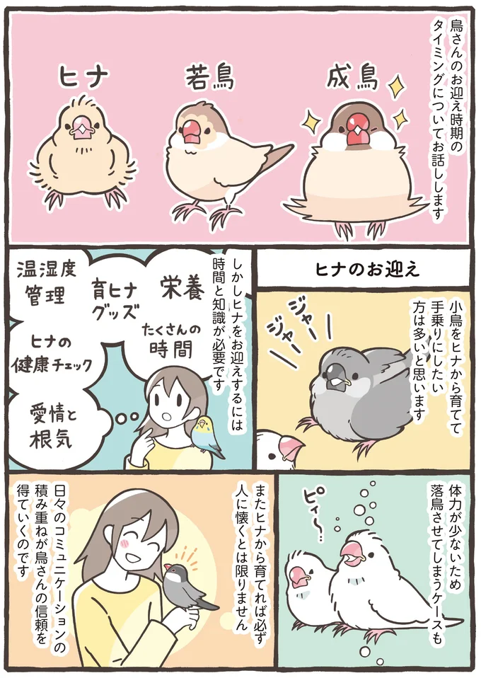 『トリ扱い説明書』より