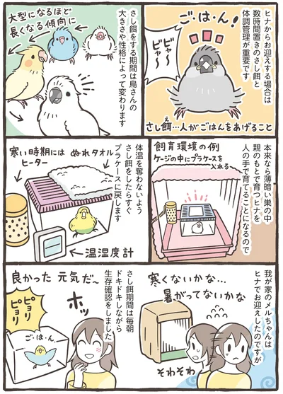 『トリ扱い説明書』より