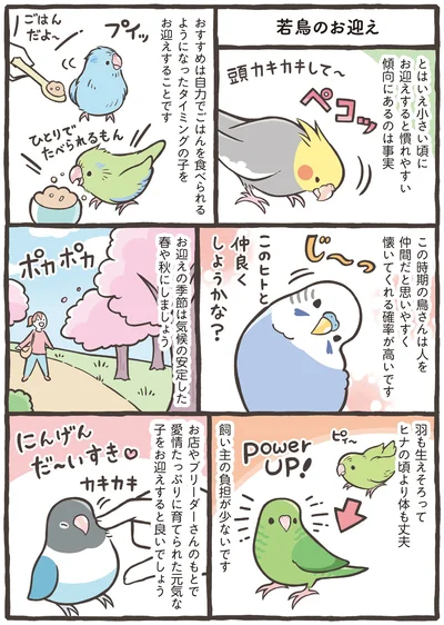 『トリ扱い説明書』より