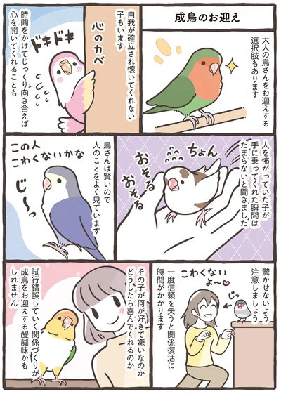 『トリ扱い説明書』より