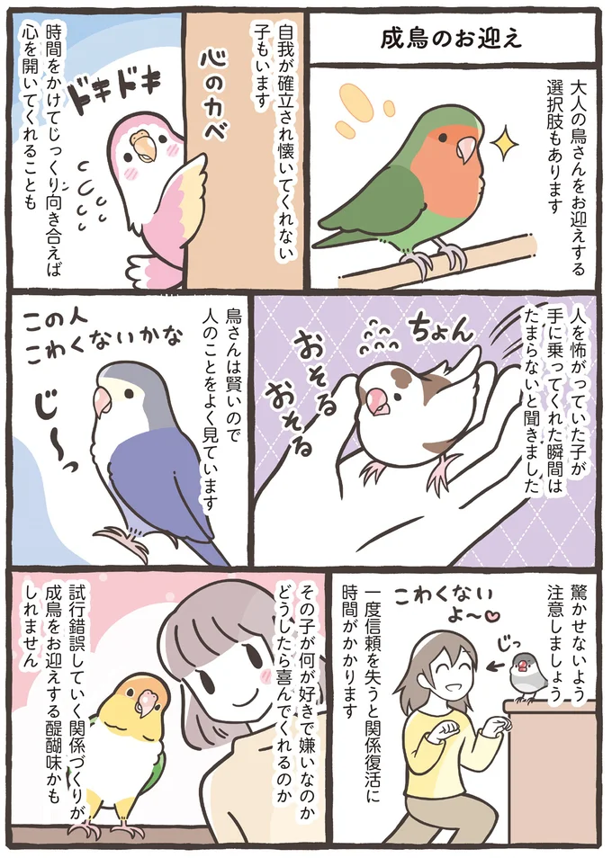 『トリ扱い説明書』より