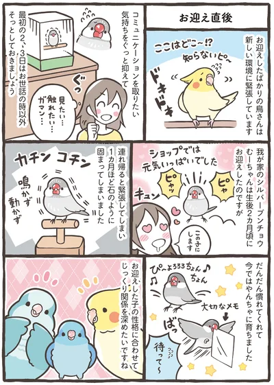 『トリ扱い説明書』より